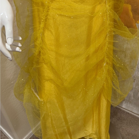 Disney Princess Dress and tutu skirt Plus size - Picture 4 of 7